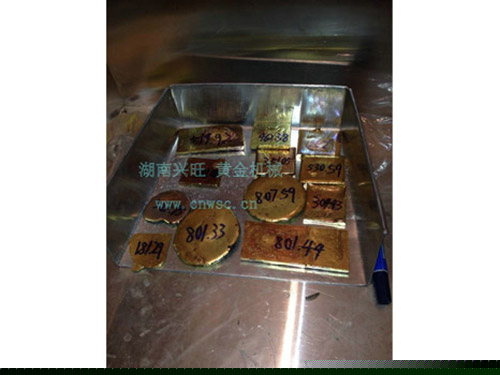 黄金丰收2013.1