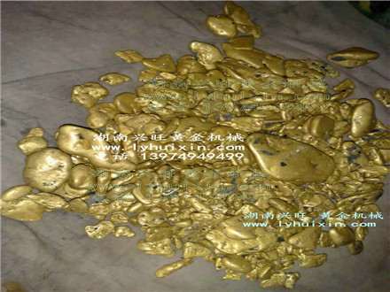 黄金丰收 (3)